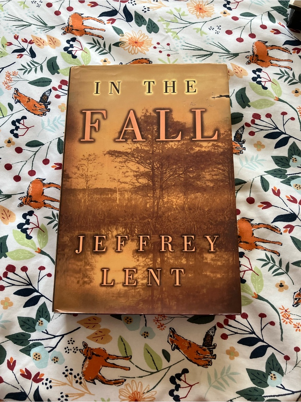 In The Fall by Jefferey Lent
Hardcover in good condition.